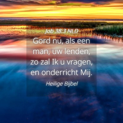 Picture 04 - Job 38:3 NLD - Gord nu, als een man, uw lenden, zo zal Ik u - Bible Verse Picture