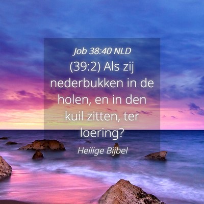 Picture 04 - Job 38:40 NLD - (39:2) Als zij nederbukken in de holen, en in den - Bible Verse Picture