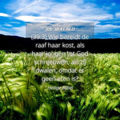 Picture 04 - Job 38:41 NLD - (39:3) Wie bereidt de raaf haar kost, als haar - Bible Verse Picture