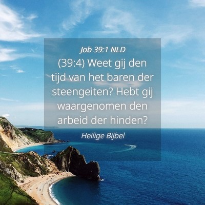 Picture 04 - Job 39:1 NLD - (39:4) Weet gij den tijd van het baren der - Bible Verse Picture