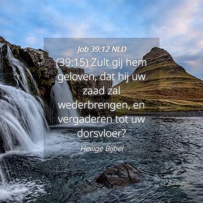 Picture 04 - Job 39:12 NLD - (39:15) Zult gij hem geloven, dat hij uw zaad zal - Bible Verse Picture