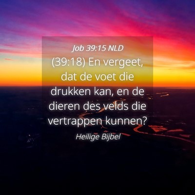 Picture 04 - Job 39:15 NLD - (39:18) En vergeet, dat de voet die drukken kan, - Bible Verse Picture