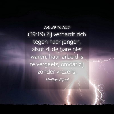 Picture 04 - Job 39:16 NLD - (39:19) Zij verhardt zich tegen haar jongen, - Bible Verse Picture