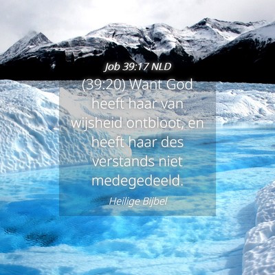 Picture 04 - Job 39:17 NLD - (39:20) Want God heeft haar van wijsheid - Bible Verse Picture