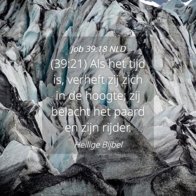 Picture 04 - Job 39:18 NLD - (39:21) Als het tijd is, verheft zij zich in de - Bible Verse Picture