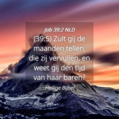 Picture 04 - Job 39:2 NLD - (39:5) Zult gij de maanden tellen, die zij - Bible Verse Picture