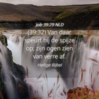 Picture 04 - Job 39:29 NLD - (39:32) Van daar speurt hij de spijze op; zijn - Bible Verse Picture