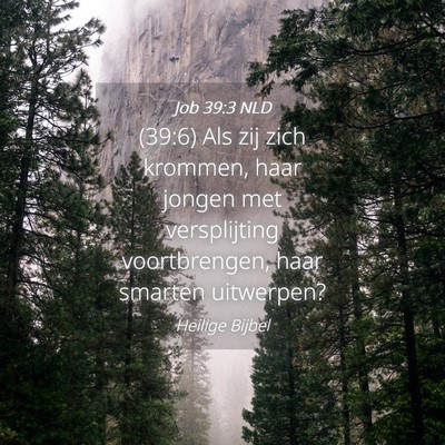 Picture 04 - Job 39:3 NLD - (39:6) Als zij zich krommen, haar jongen met - Bible Verse Picture