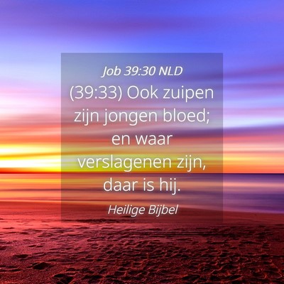 Picture 04 - Job 39:30 NLD - (39:33) Ook zuipen zijn jongen bloed; en waar - Bible Verse Picture