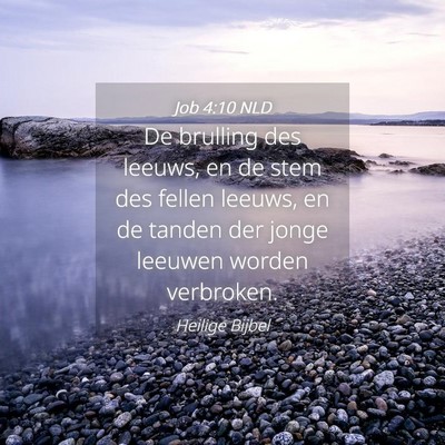 Picture 04 - Job 4:10 NLD - De brulling des leeuws, en de stem des fellen - Bible Verse Picture