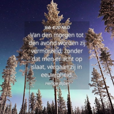 Picture 04 - Job 4:20 NLD - Van den morgen tot den avond worden zij - Bible Verse Picture