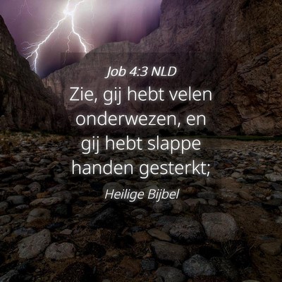 Picture 04 - Job 4:3 NLD - Zie, gij hebt velen onderwezen, en gij hebt - Bible Verse Picture