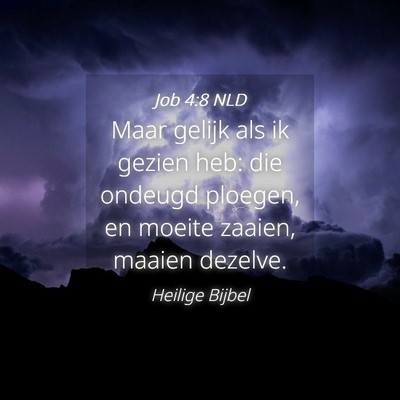 Picture 04 - Job 4:8 NLD - Maar gelijk als ik gezien heb: die ondeugd - Bible Verse Picture