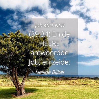 Picture 04 - Job 40:1 NLD - (39:34) En de HEERE antwoordde Job, en - Bible Verse Picture