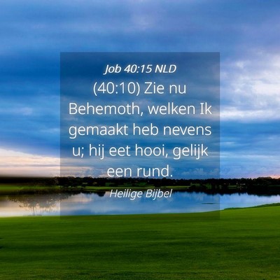 Picture 04 - Job 40:15 NLD - (40:10) Zie nu Behemoth, welken Ik gemaakt heb - Bible Verse Picture