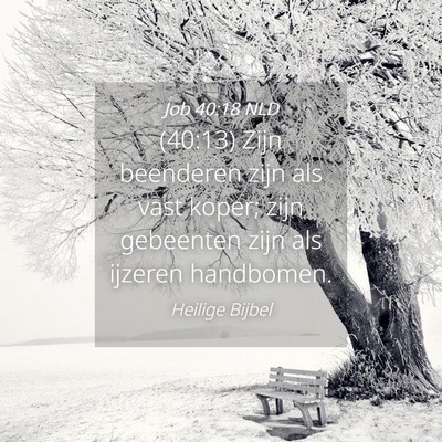 Picture 04 - Job 40:18 NLD - (40:13) Zijn beenderen zijn als vast koper; zijn - Bible Verse Picture