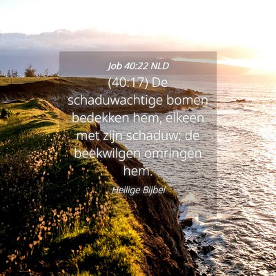 Picture 04 - Job 40:22 NLD - (40:17) De schaduwachtige bomen bedekken hem, - Bible Verse Picture