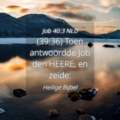 Picture 04 - Job 40:3 NLD - (39:36) Toen antwoordde Job den HEERE, en - Bible Verse Picture