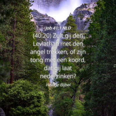 Picture 04 - Job 41:1 NLD - (40:20) Zult gij den Leviathan met den angel - Bible Verse Picture