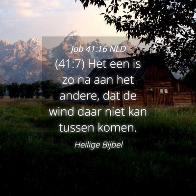 Picture 04 - Job 41:16 NLD - (41:7) Het een is zo na aan het andere, dat de - Bible Verse Picture