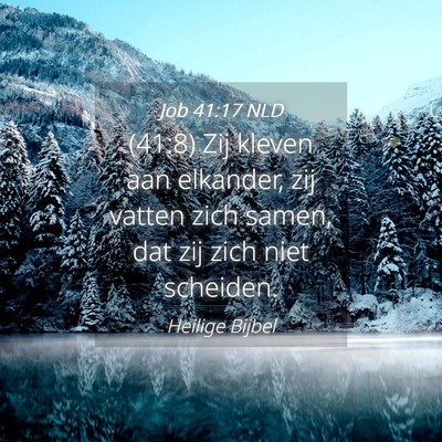 Picture 04 - Job 41:17 NLD - (41:8) Zij kleven aan elkander, zij vatten zich - Bible Verse Picture