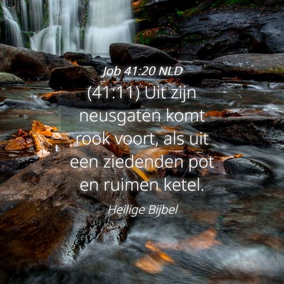 Picture 04 - Job 41:20 NLD - (41:11) Uit zijn neusgaten komt rook voort, als - Bible Verse Picture