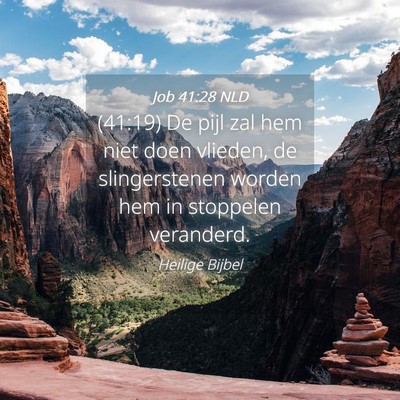 Picture 04 - Job 41:28 NLD - (41:19) De pijl zal hem niet doen vlieden, de - Bible Verse Picture