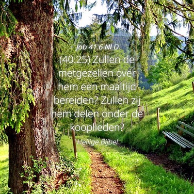 Picture 04 - Job 41:6 NLD - (40:25) Zullen de metgezellen over hem een - Bible Verse Picture