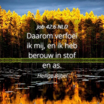 Picture 04 - Job 42:6 NLD - Daarom verfoei ik mij, en ik heb berouw in stof - Bible Verse Picture