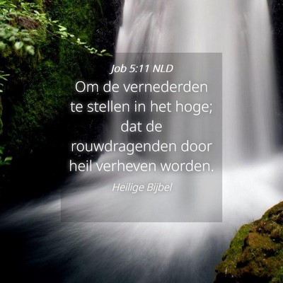 Picture 04 - Job 5:11 NLD - Om de vernederden te stellen in het hoge; dat de - Bible Verse Picture