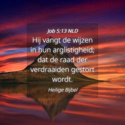 Picture 04 - Job 5:13 NLD - Hij vangt de wijzen in hun arglistigheid; dat de - Bible Verse Picture