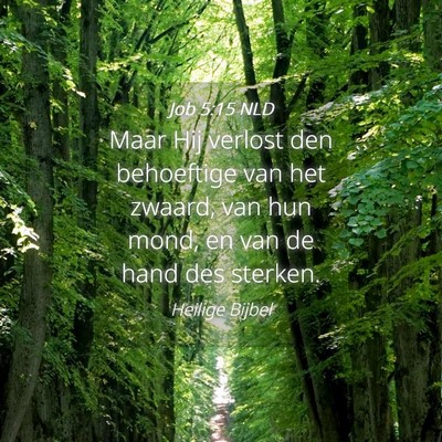 Picture 04 - Job 5:15 NLD - Maar Hij verlost den behoeftige van het zwaard, - Bible Verse Picture