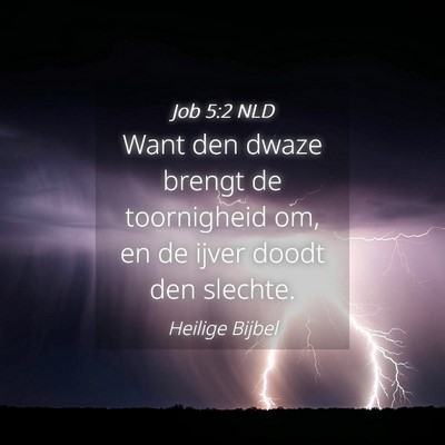 Picture 04 - Job 5:2 NLD - Want den dwaze brengt de toornigheid om, en de - Bible Verse Picture