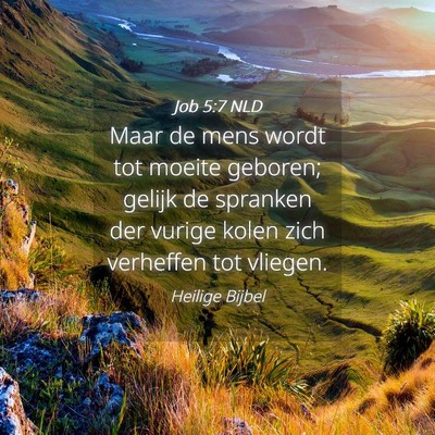 Picture 04 - Job 5:7 NLD - Maar de mens wordt tot moeite geboren; gelijk de - Bible Verse Picture