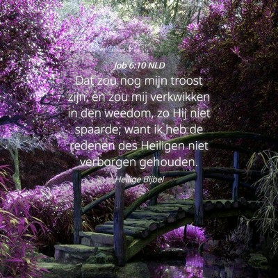 Picture 04 - Job 6:10 NLD - Dat zou nog mijn troost zijn, en zou mij - Bible Verse Picture