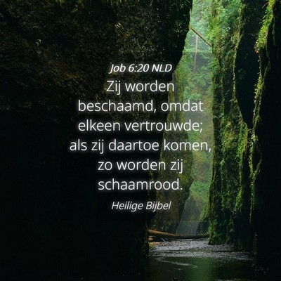 Picture 04 - Job 6:20 NLD - Zij worden beschaamd, omdat elkeen vertrouwde; - Bible Verse Picture
