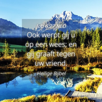 Picture 04 - Job 6:27 NLD - Ook werpt gij u op een wees; en gij graaft tegen - Bible Verse Picture