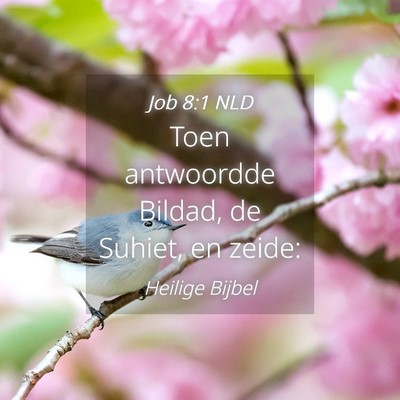 Picture 04 - Job 8:1 NLD - Toen antwoordde Bildad, de Suhiet, en - Bible Verse Picture