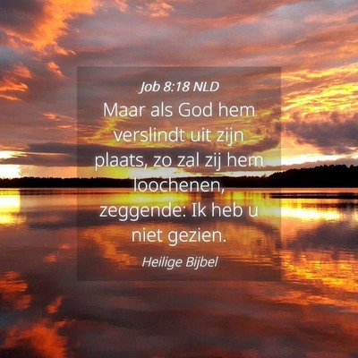 Picture 04 - Job 8:18 NLD - Maar als God hem verslindt uit zijn plaats, zo - Bible Verse Picture