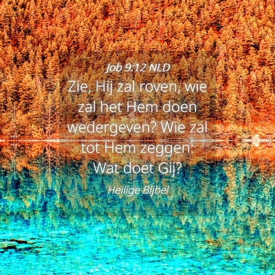 Picture 04 - Job 9:12 NLD - Zie, Hij zal roven, wie zal het Hem doen - Bible Verse Picture