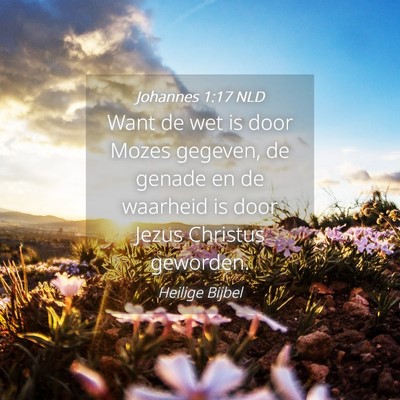 Picture 04 - Johannes 1:17 NLD - Want de wet is door Mozes gegeven, de genade en - Bible Verse Picture