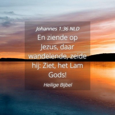 Picture 04 - Johannes 1:36 NLD - En ziende op Jezus, daar wandelende, zeide hij: - Bible Verse Picture
