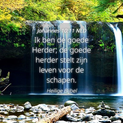 Picture 04 - Johannes 10:11 NLD - Ik ben de goede Herder; de goede herder stelt - Bible Verse Picture