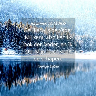 Picture 04 - Johannes 10:15 NLD - Gelijkerwijs de Vader Mij kent, alzo ken Ik ook - Bible Verse Picture