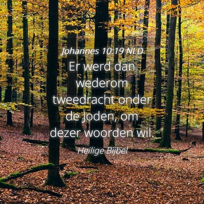 Picture 04 - Johannes 10:19 NLD - Er werd dan wederom tweedracht onder de Joden, om - Bible Verse Picture