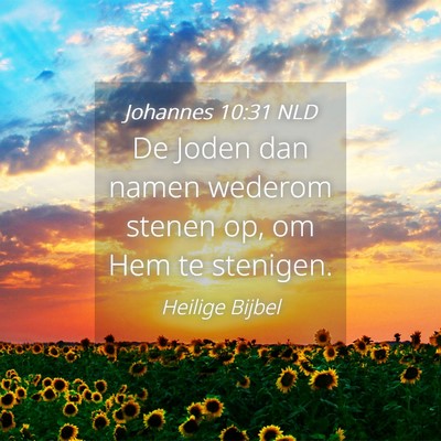 Picture 04 - Johannes 10:31 NLD - De Joden dan namen wederom stenen op, om Hem te - Bible Verse Picture