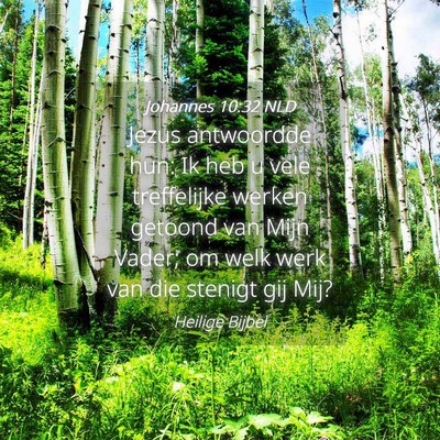 Picture 04 - Johannes 10:32 NLD - Jezus antwoordde hun: Ik heb u vele treffelijke - Bible Verse Picture