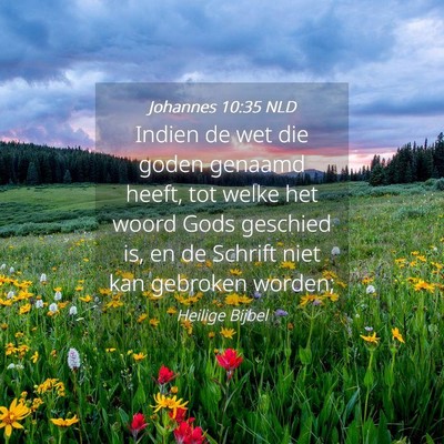Picture 04 - Johannes 10:35 NLD - Indien de wet die goden genaamd heeft, tot welke - Bible Verse Picture