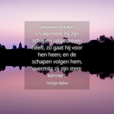 Picture 04 - Johannes 10:4 NLD - En wanneer hij zijn schapen uitgedreven heeft, zo - Bible Verse Picture