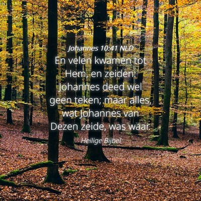 Picture 04 - Johannes 10:41 NLD - En velen kwamen tot Hem, en zeiden: Johannes deed - Bible Verse Picture